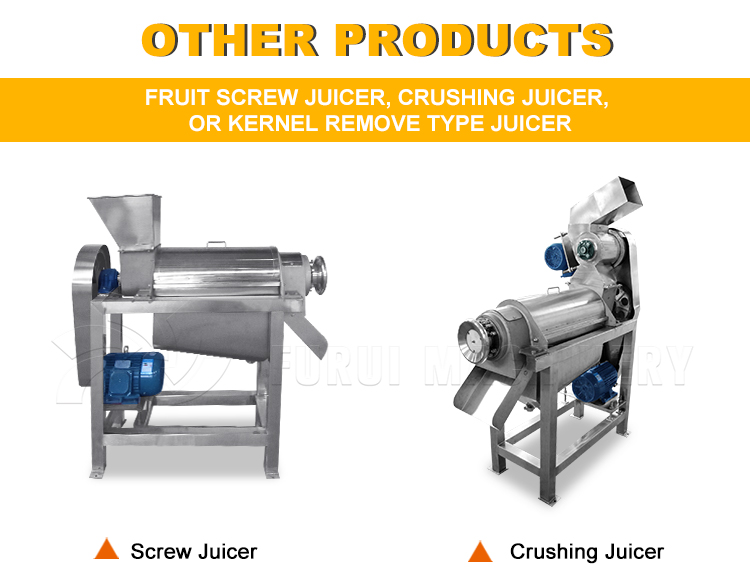 Grape Squeezer Juice Press Machine Automatic Apple Juice Machine