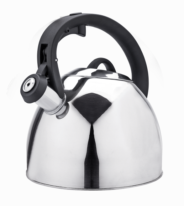 Induction Bottom Kettle 2L