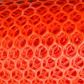 Grön Färg PP Plastvävt Wire Mesh