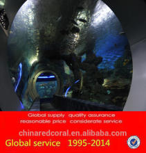 tropical fish aquariums