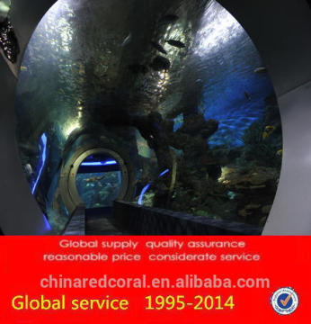 tropical fish aquariums