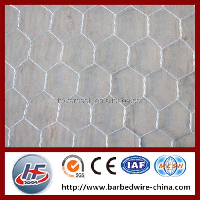 hexagon wire netting,chicken mesh,electro galvanized after weaving hexagonal wire netting