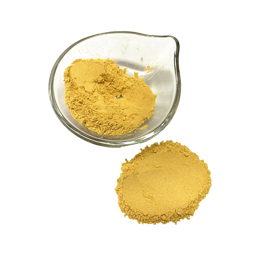 Top Quality 100% Natural Pumpkin Powder for Free Sample