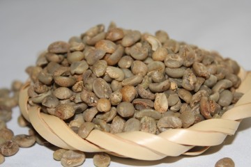 Wholesale Good Quality Yunnan Green Coffee Beans