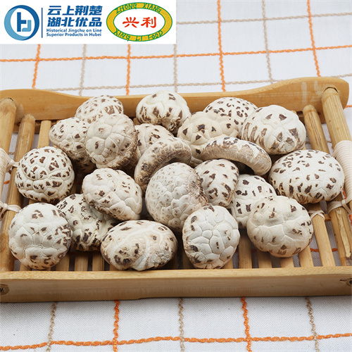 Tianbai Mushroom1