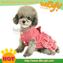 designer pet clothes