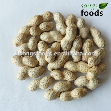 Brokers for peanut in alibaba
