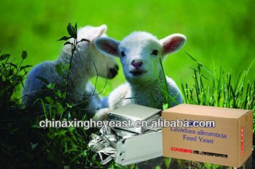 sell Animal Fodder dry yeast