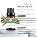 Hot Selling Pure Calamus Oil For Multi Purpose