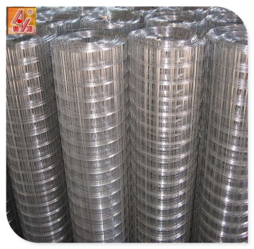 10ft-300ft Hot Dipped Galvanised Welded Wire Mesh Rolls