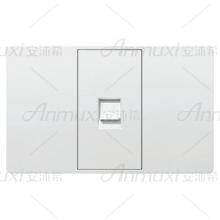 TEL Lan Computer Socket