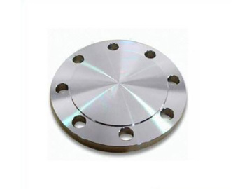 304L BL Blind flange