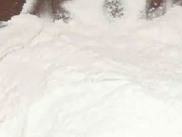 Sulfur-containing compound thiourea product