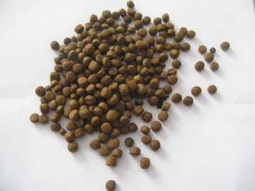 Catfish feed supplier