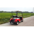 Dwumiejscowe wózki golfowe z napędem benzynowym lub gazowym