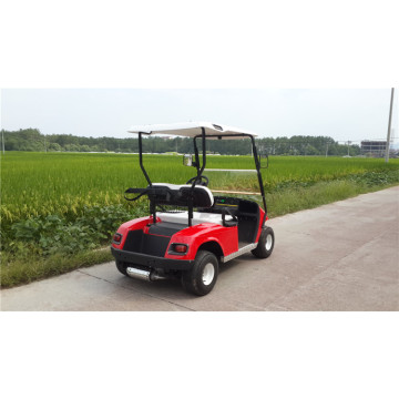 2 Seater Gasoline or Gas Powered Golf Carts