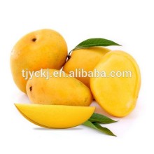 PURE Alphonso Mango premium PULP