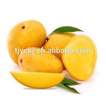 PURE Alphonso Mango PULP