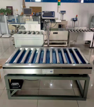 High Speed Dynamic Weighing System for Small Packages