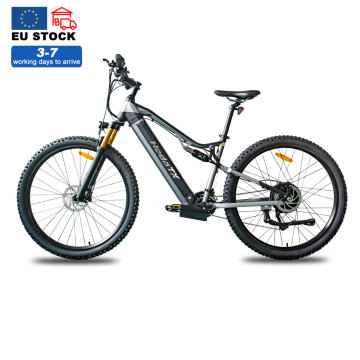 Electric Bike 1000W Electric Bicycle mountain Bike