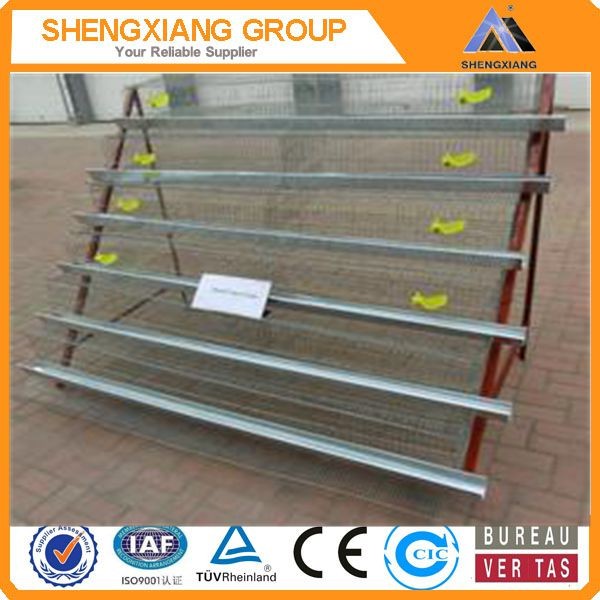 China newly design in the market animal cage/bird cage/quail cage