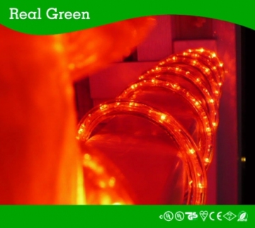 2-Wire Standard Red LED Rope Light