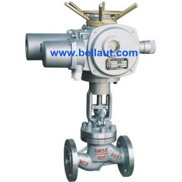 Motorized light-weight proportional control valve