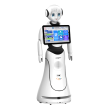 Humanoid AI Robot for Airport Guest Services and Welcome Assistance