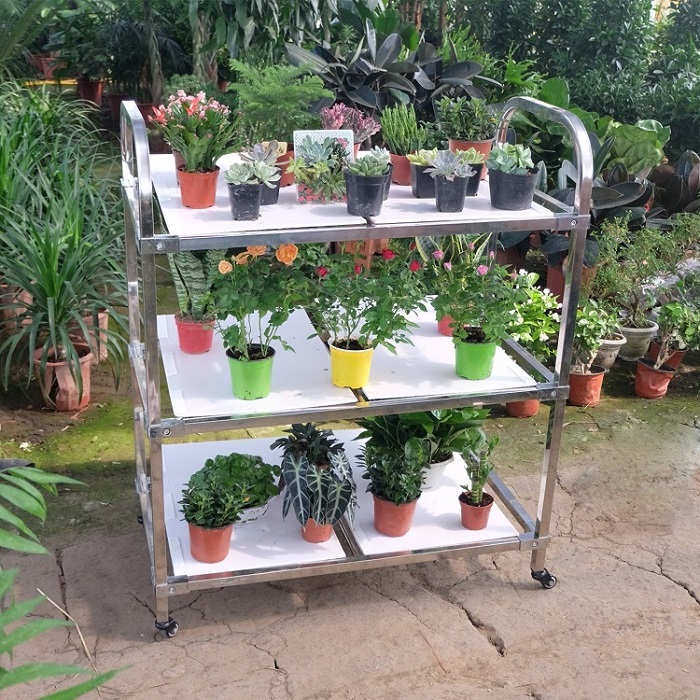 Greenhouse Transport Foldable Metal Flower Trolley Cart