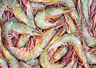 Frozen Seafood Sword Shrimp