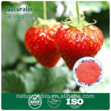 Freeze Dried / FD Strawberry Powder