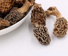 Dried Mushroom