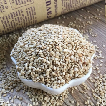 Best Quality Pure Natural Sesame Seed