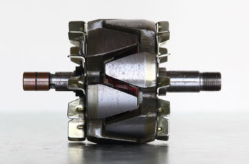 Auto generator rotor assembly