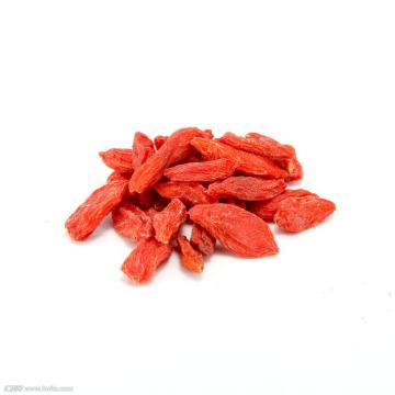 Chinese Wolfberry Extract Goji Berry Extract Polysaccharide powder