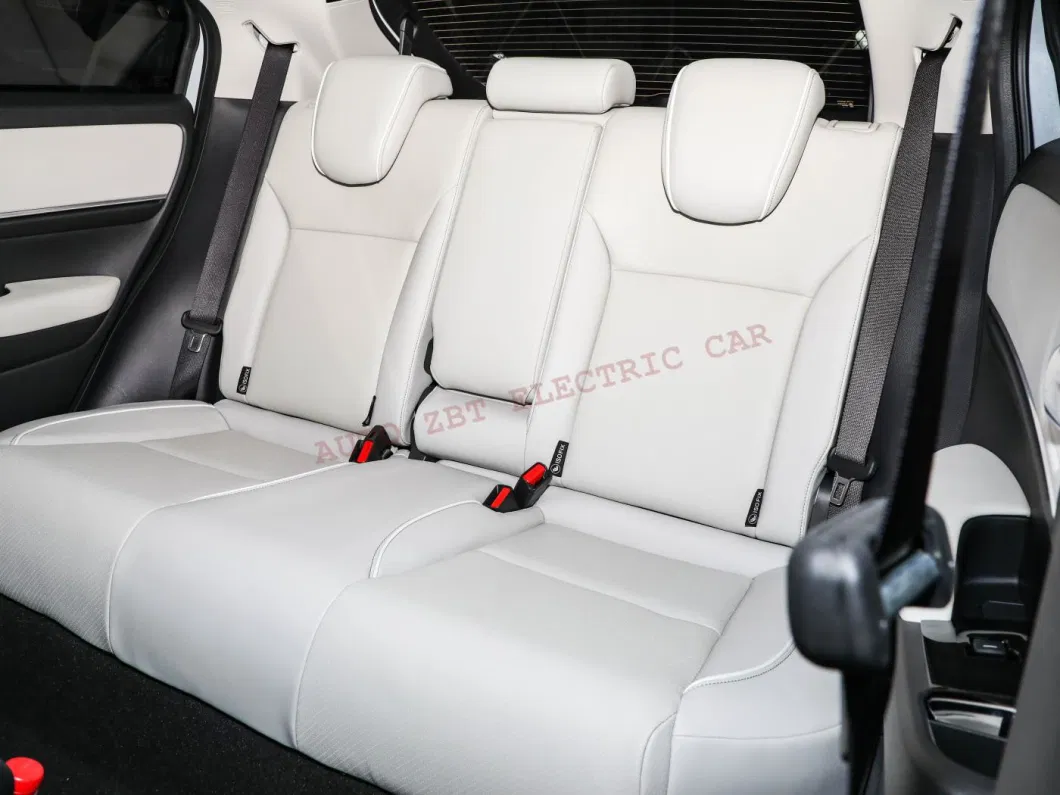 Made in China Smart Sports SUV High Speed E: Np1 Compact Pure Electric Private Car with Ternary Lithium Battery