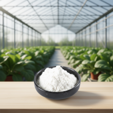 6BA 6BAP 99%TC 6-Benzylaminopurine Plant growth regulators