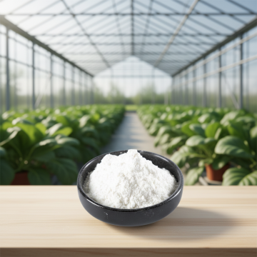 6BA 6BAP 99%TC 6-Benzylaminopurine Plant growth regulators