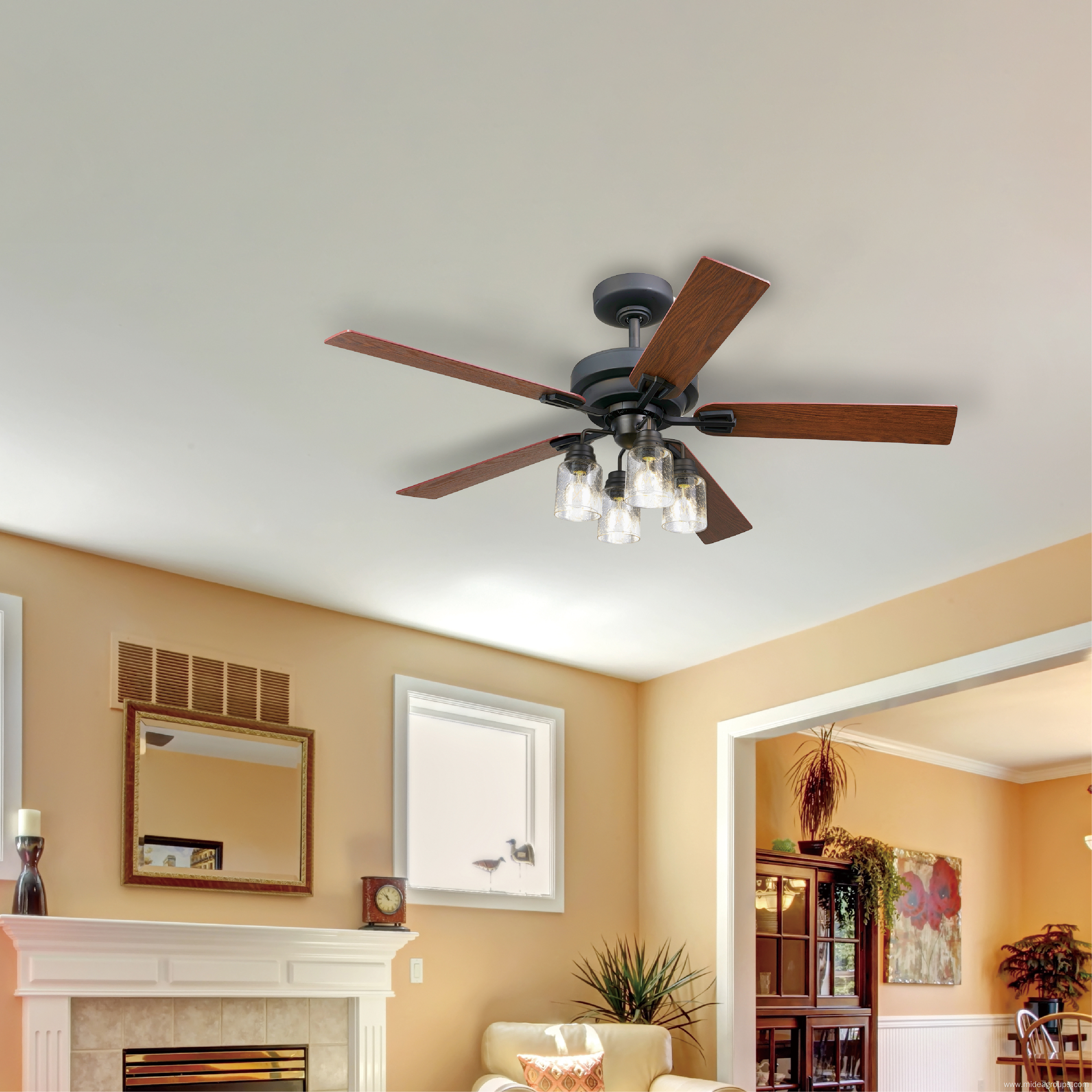 Ceiling Fan