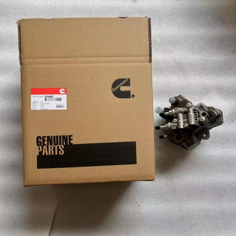 5256607 Jpg 5256607 Jpg