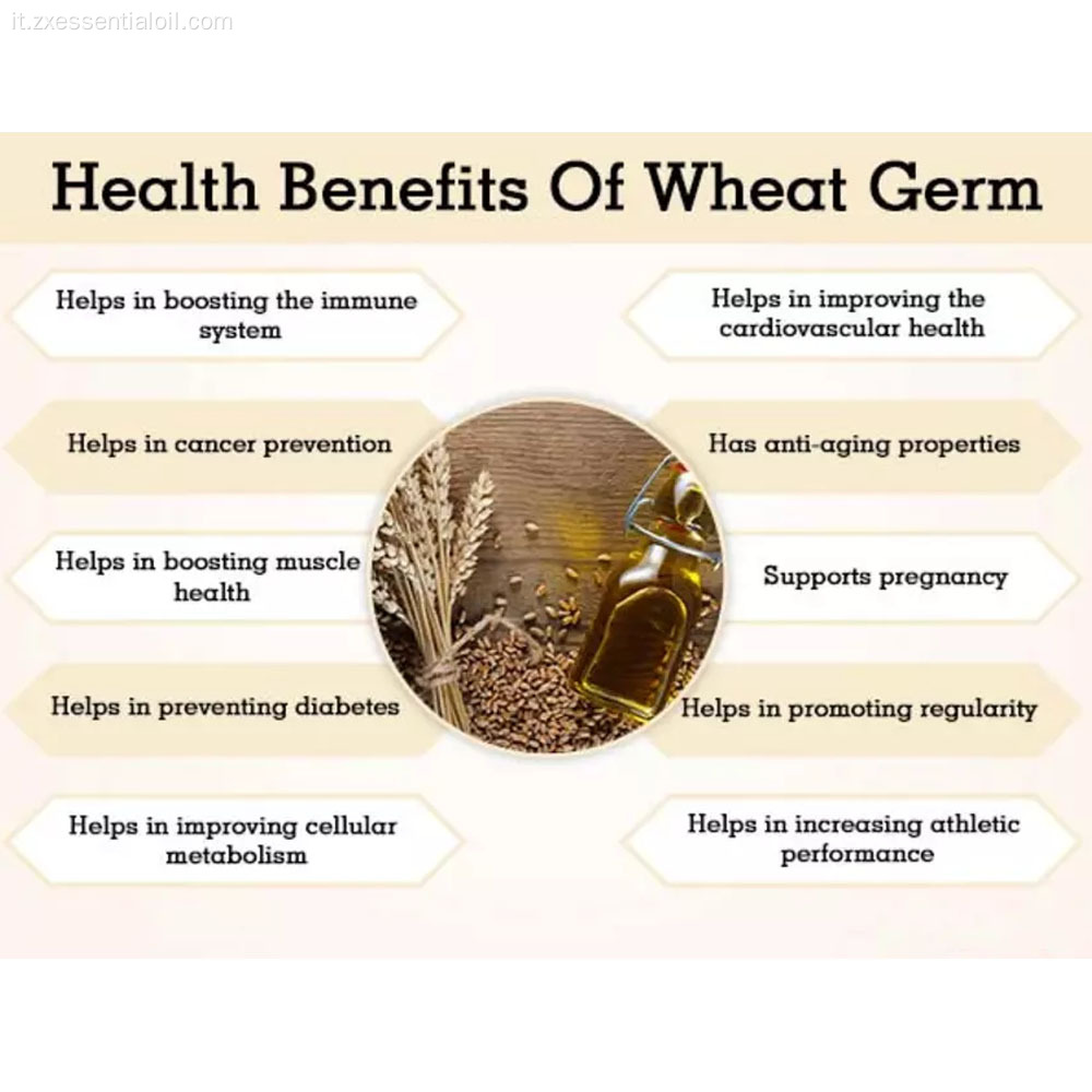 olio di germe di grano biologico puro al 100% all&#39;ingrosso per massaggio