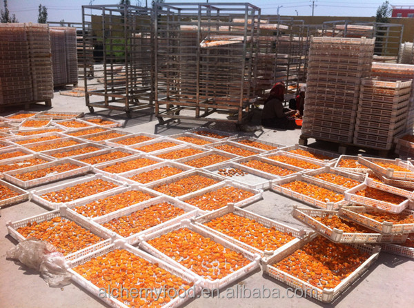 snack food natural sun dried apricot