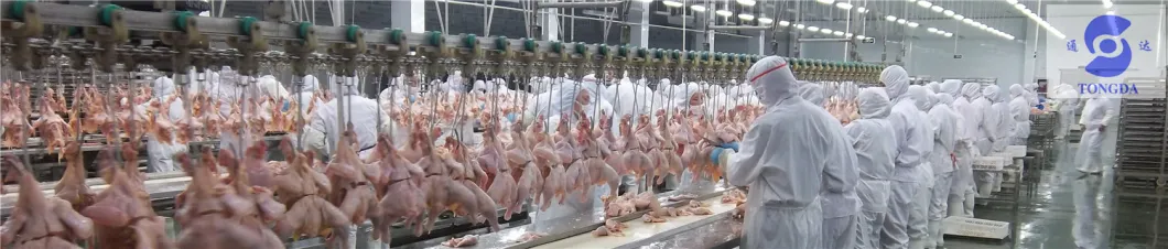 Goose Slaughter House Equipment for Chicken, Duck Halal Slaughrering