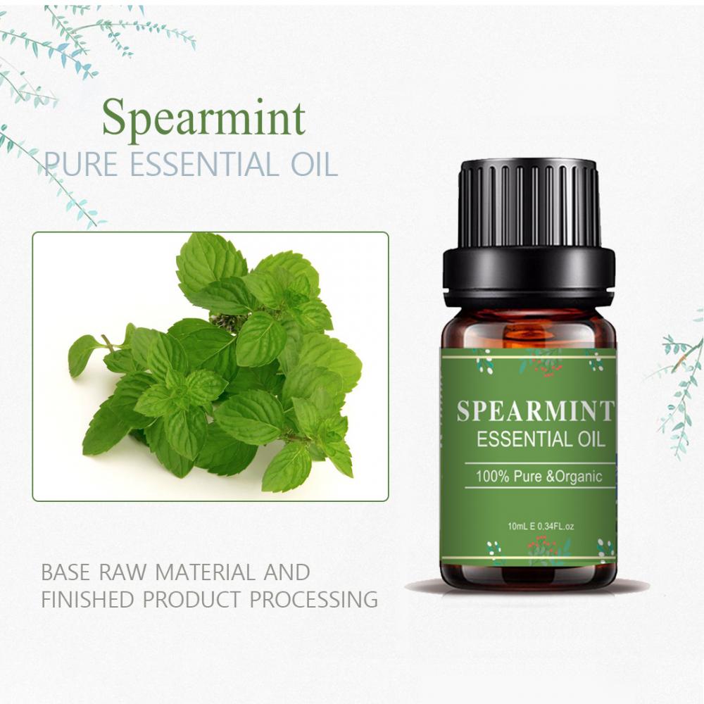 OEM SPEARMINT ORGANIC Essential Aroma diffuseur en gros