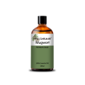 Extracto de naturaleza pura destilación de vapor Mugwort aceite esencial al por mayor de aceite de artemisia para masaje corporal