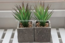 succulent plants, mini plant, wooden potted single plant #2, plastic yucca