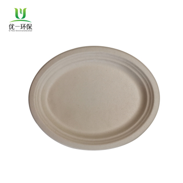 Disposables Tableware Sugarcane Bagasse 12.5'' Inches Plates