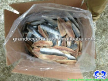 frozen fresh herring fillet