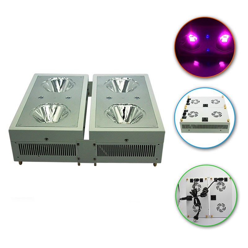  Hydro indoor auto grow system 300W led grow lights