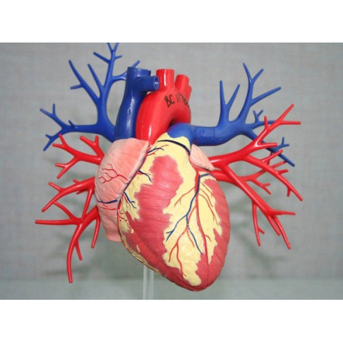 Dispositivos médicos impressos em 3D